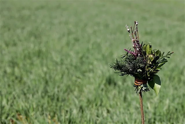 2025년 4월 셋째주 주일 낮예배 기도문_6