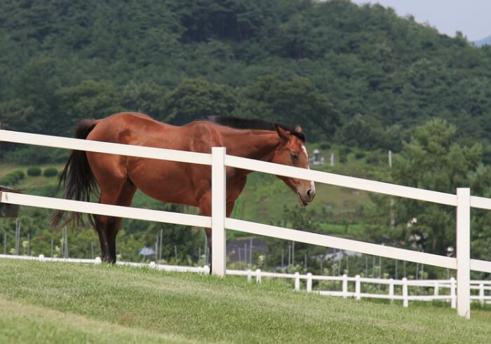 장수 가볼만한곳 베스트 10