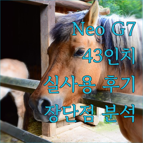 43인치 삼성 오디세이 Neo G7 ..