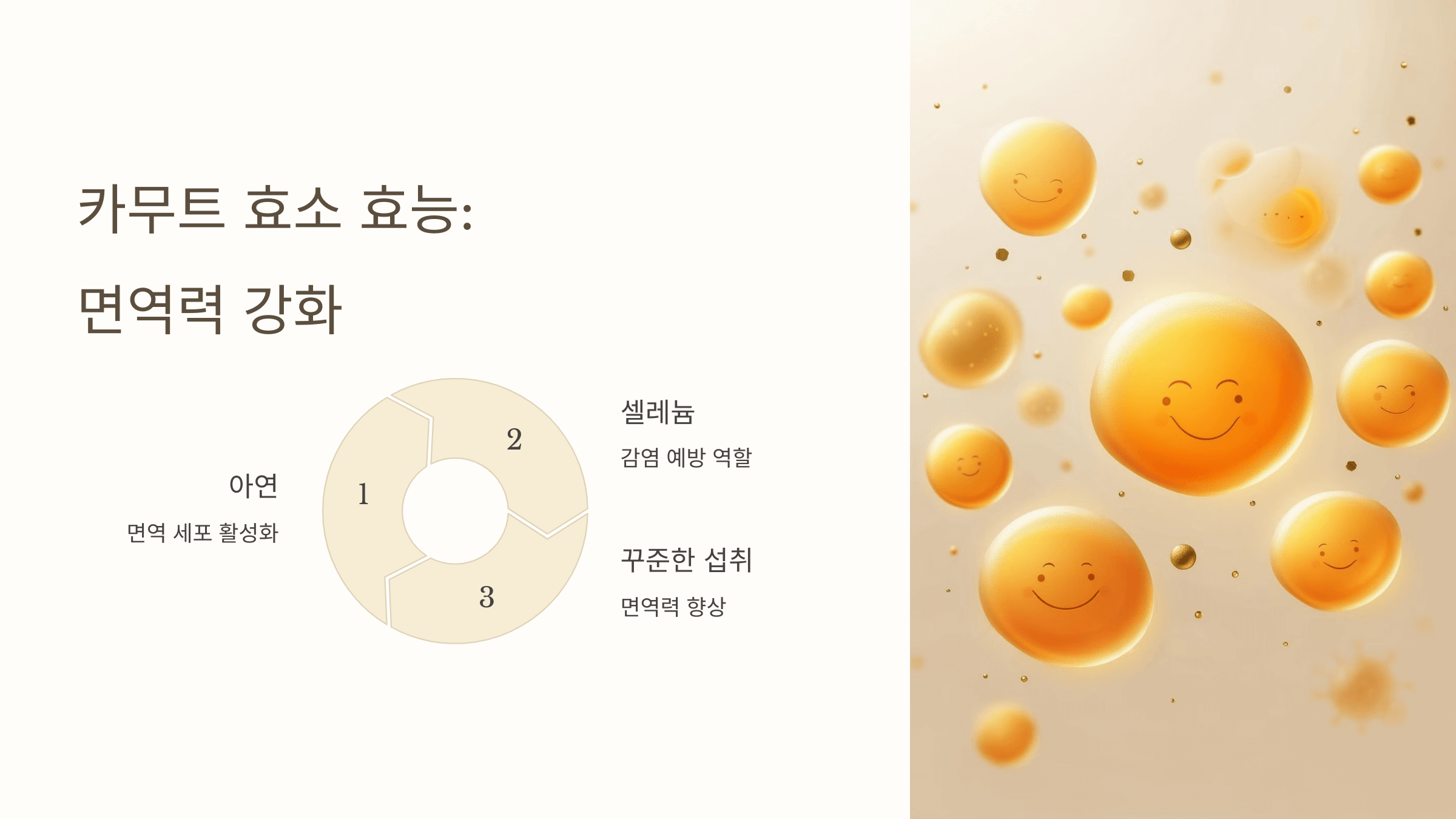 카무트 효소와 관련된 사진입니다.