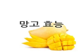 망고 효능 부작용 보관법으로_2