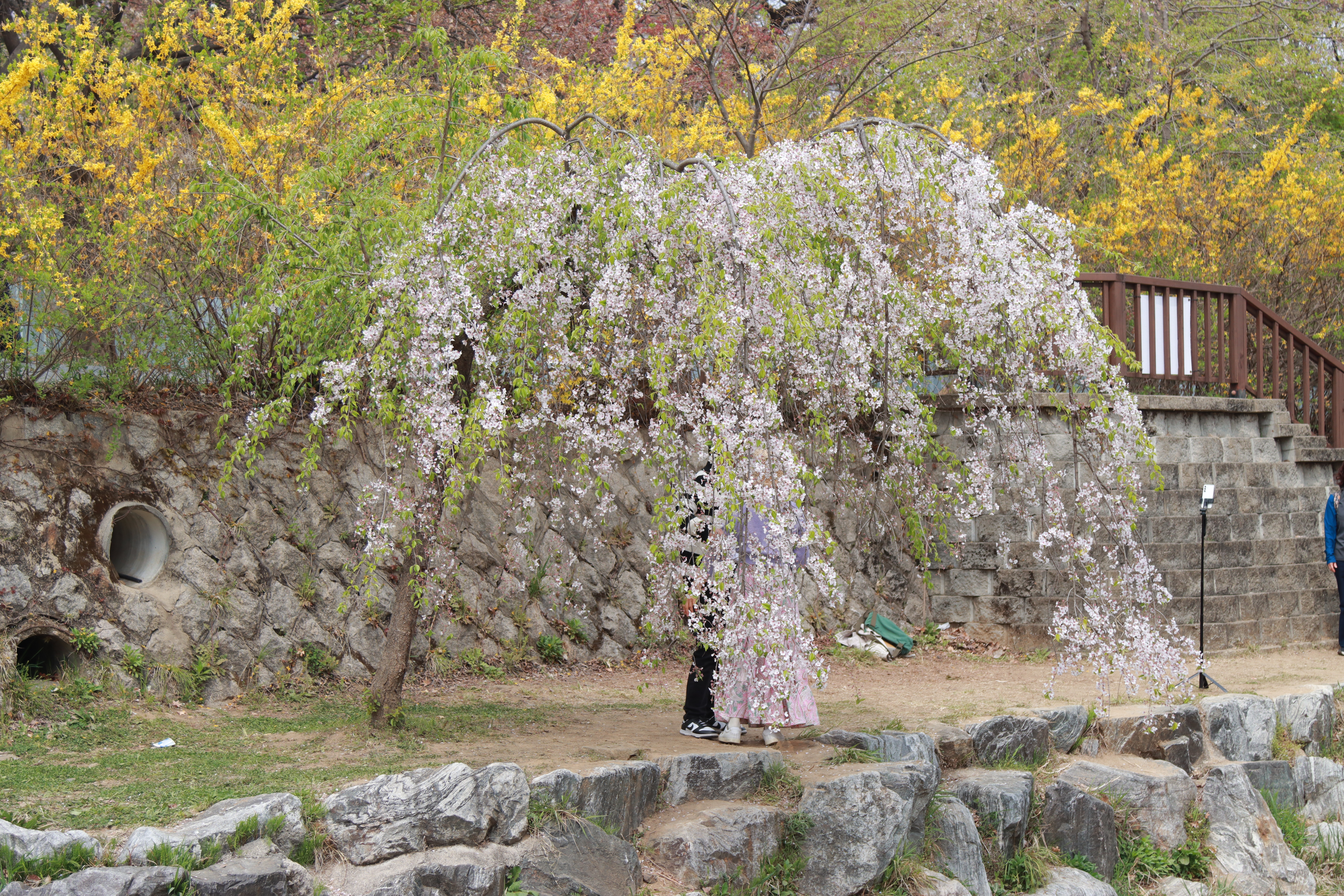 국립현충원