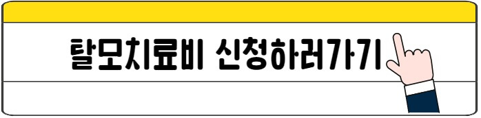 서울_탈모치료비_신청