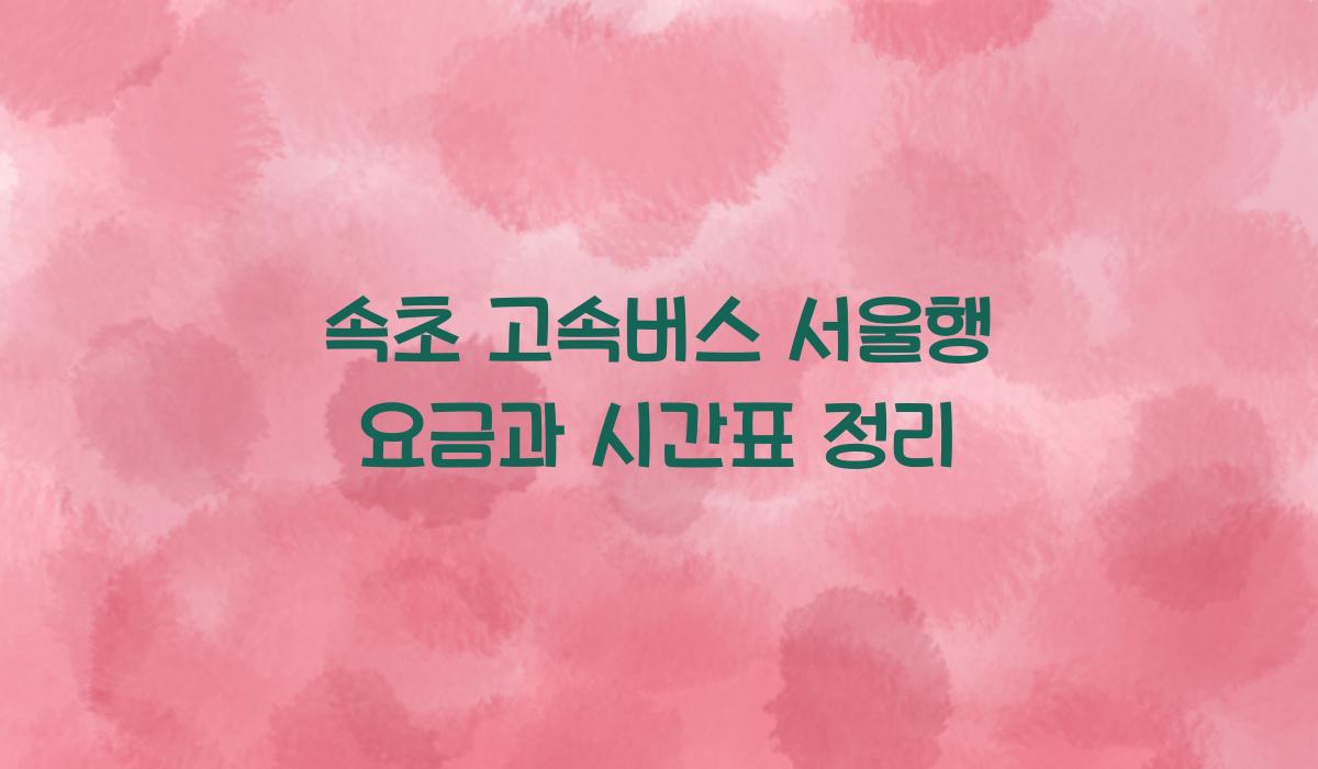 속초 고속버스 서울행