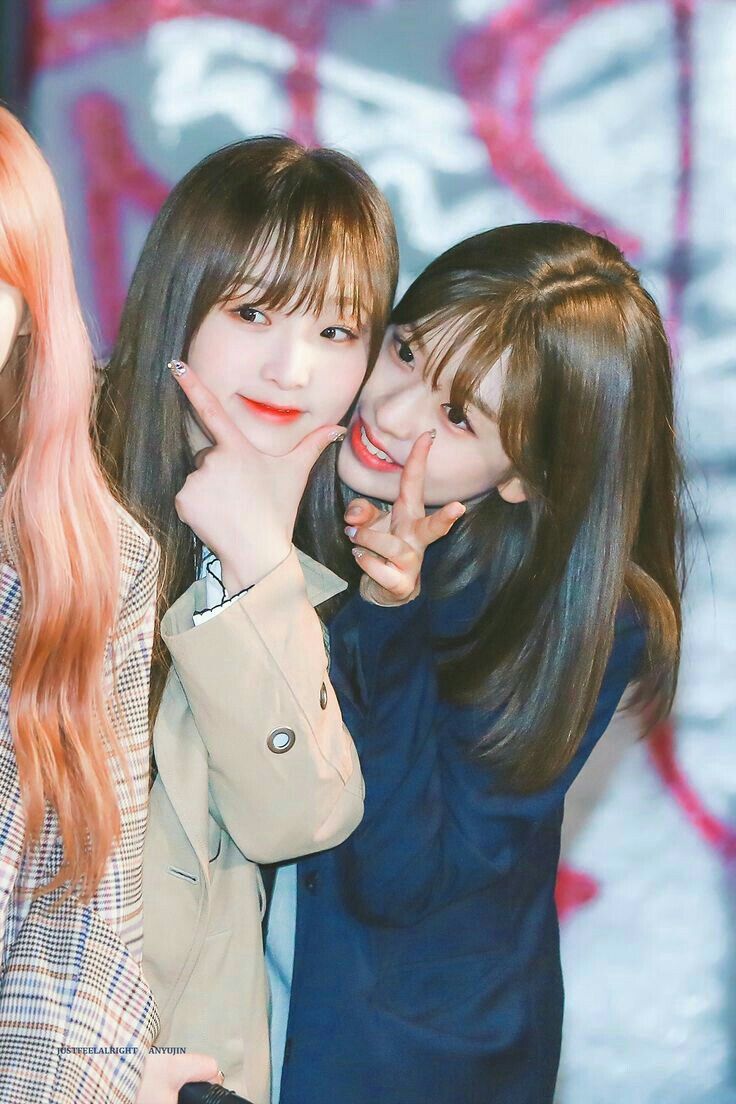 아이즈원 프로듀스48 사진 모음 아이즈원 프로듀스48 사진 모음