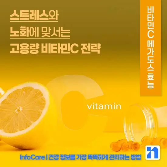 비타민C 메가도스 효능