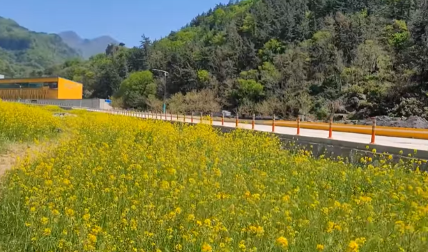 울릉도,독도여행