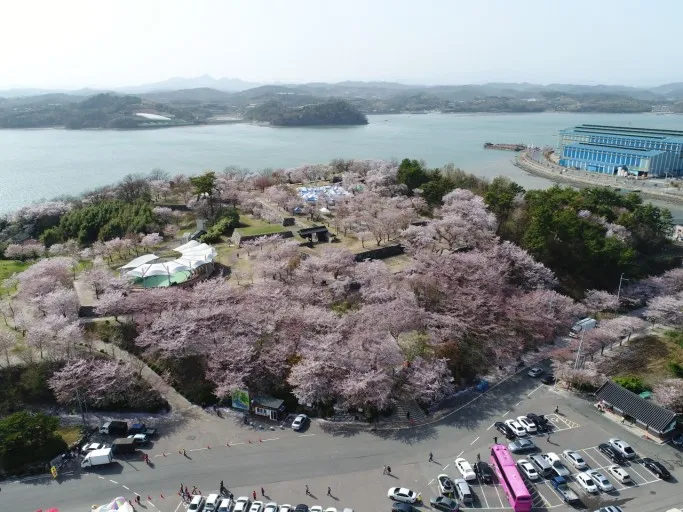 선진리 왜성 봄의 풍경