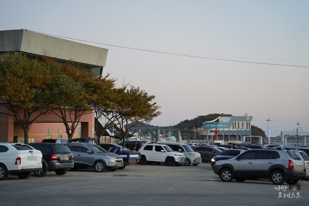 안산 탄도항 주차장
