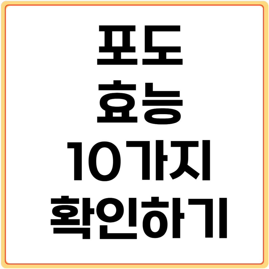 포도-효능-10가지-확인하기