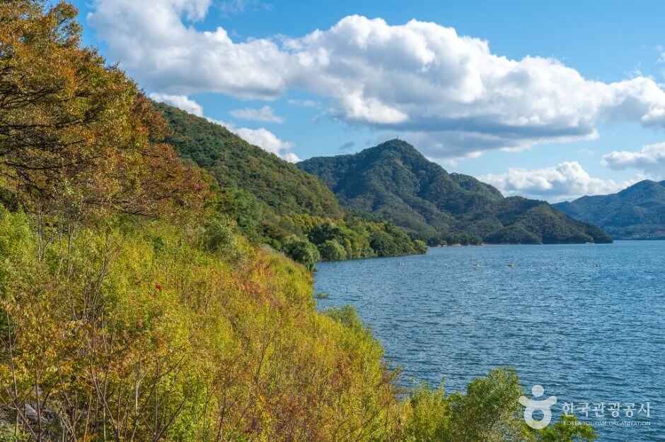 충주 가볼만한곳 베스트 10