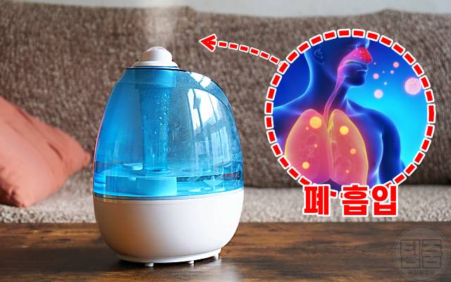 가습기 수돗물 미세먼지,가습기 정수기물 세균,팁줌