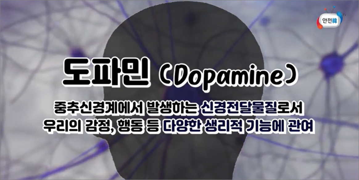 도파민 역할