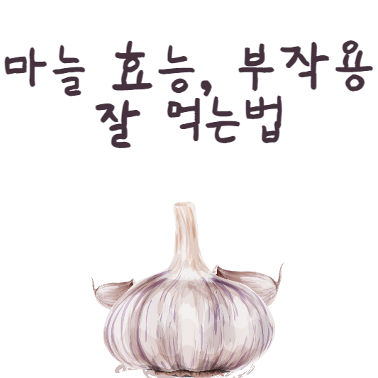 마늘의 효능과 부작용, 올바르게 먹는 법
