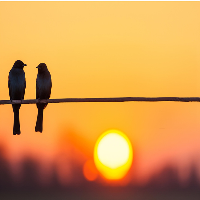 2026년 토끼띠 신년 운세 무료 보기