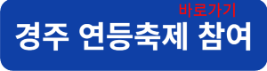경주연등축제