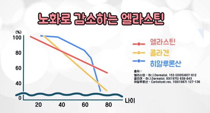 엘라스틴 탄력