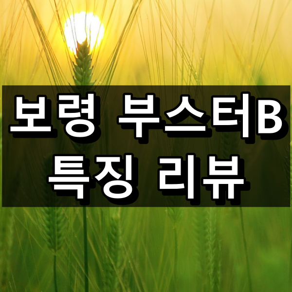 보령 부스터B 대표 이미지