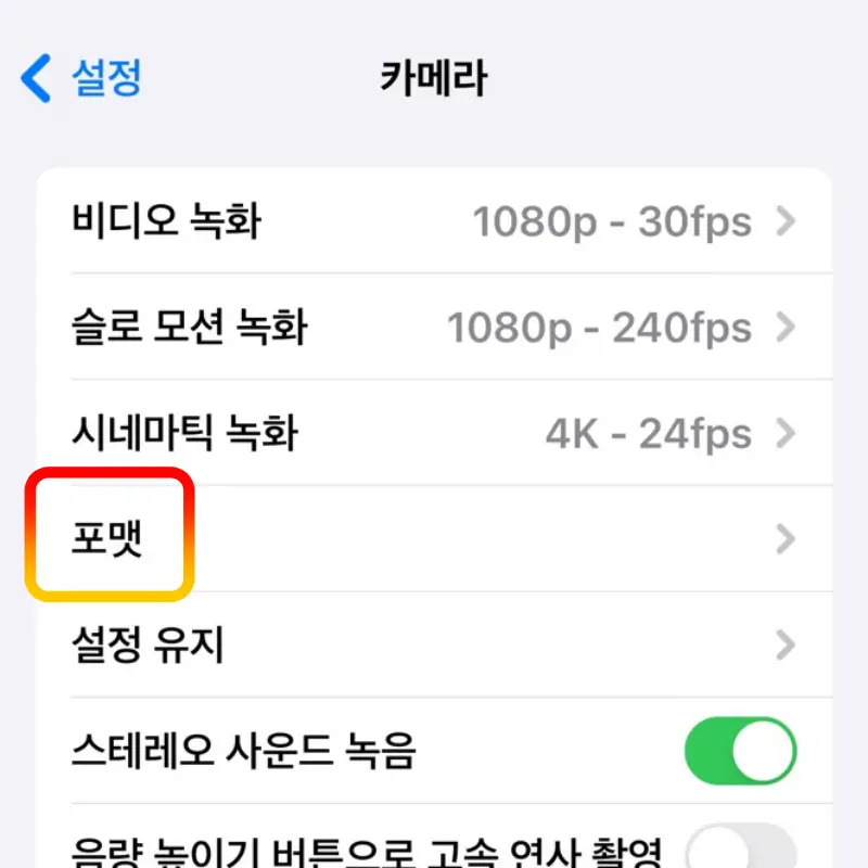 카메라-포맷
