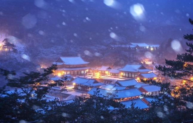 겨울 화엄사 관련 사진