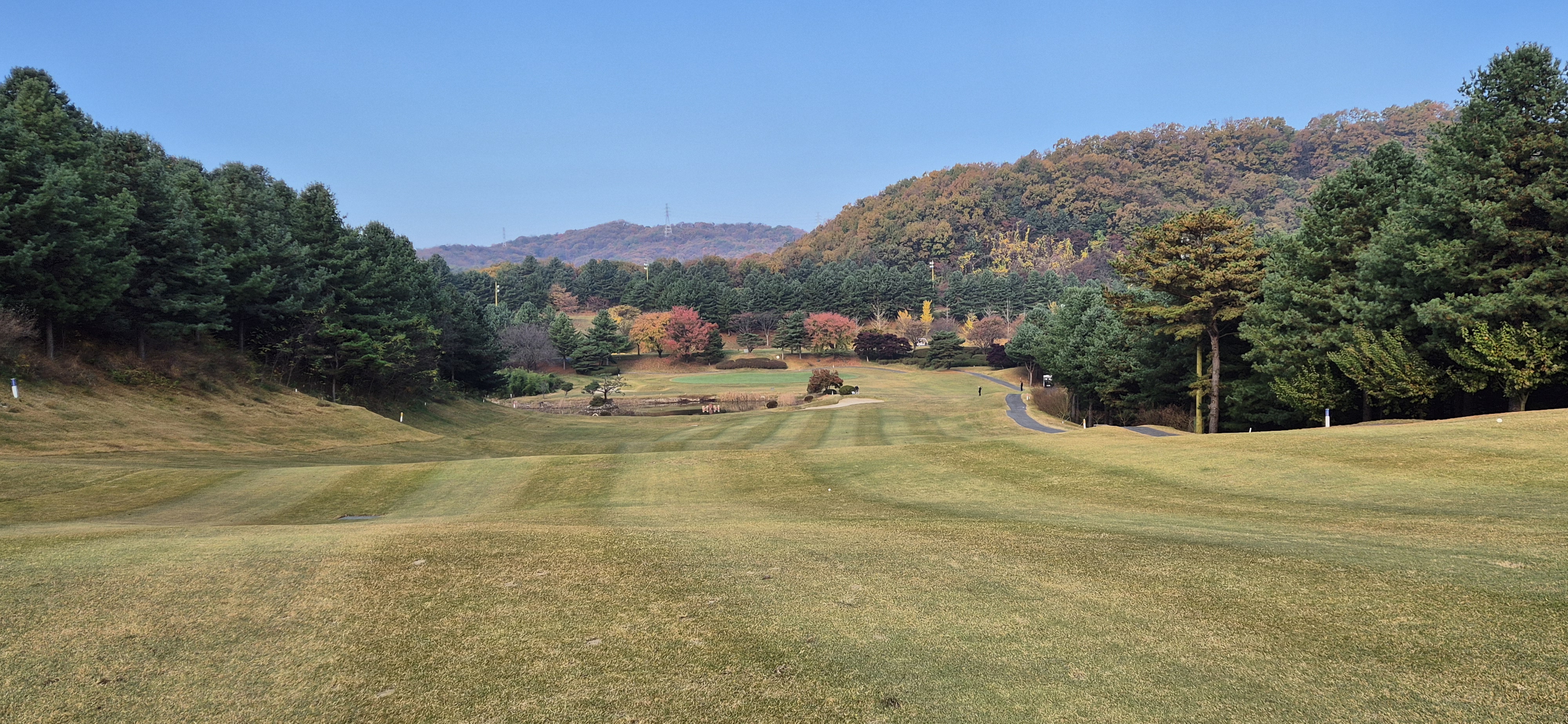 시그너스cc 라미코스 사진 및 공략 정보