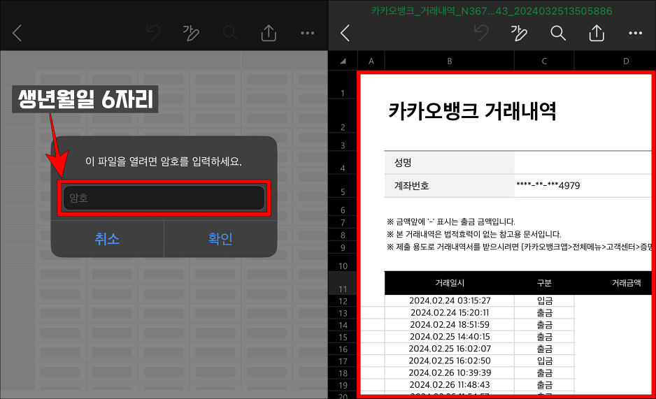 생년월일 6자리를 암호로 입력하여 카카오뱅크 거래내역 파일을 확인