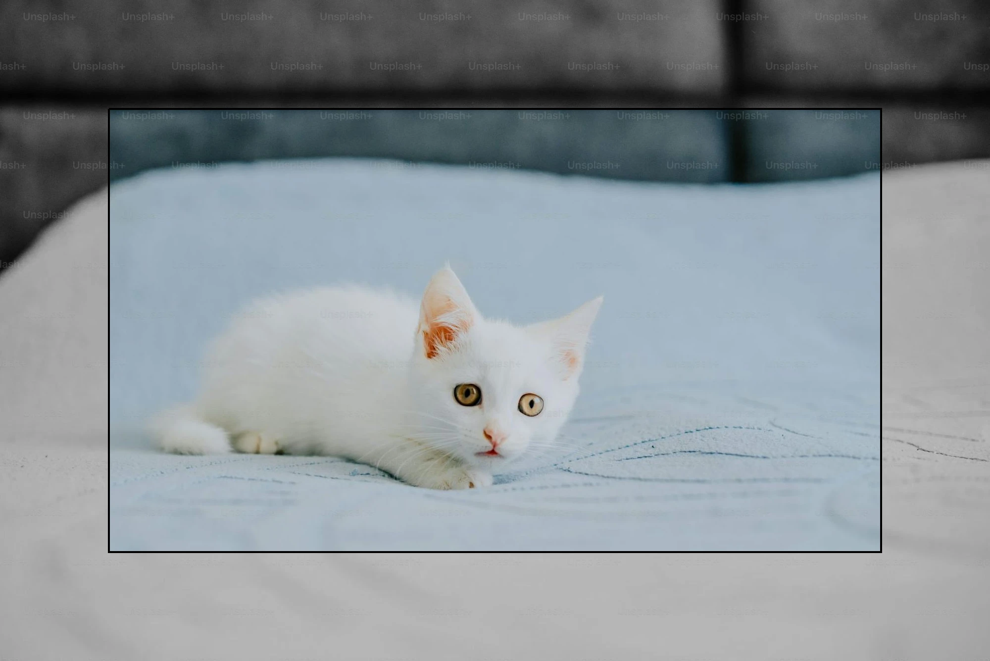 이미지_2