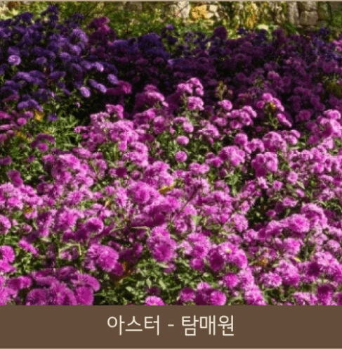 2025년 화담숲 예약