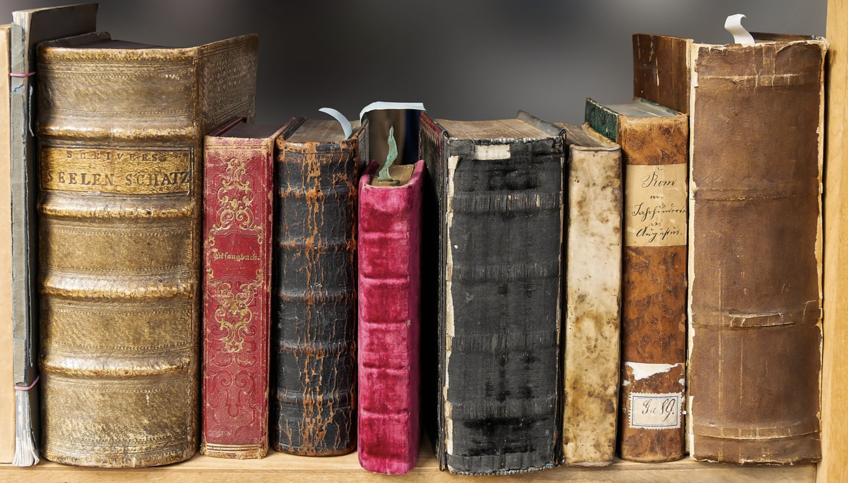 신간과 고전 사진