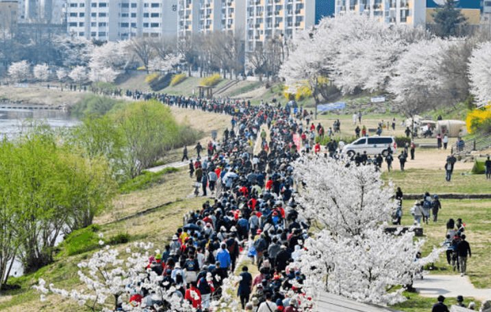 의정부 한마음 걷기 대회 전경