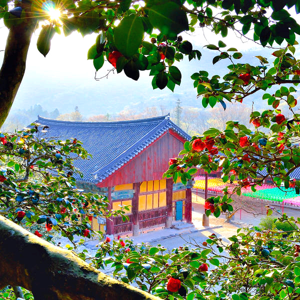 선운사