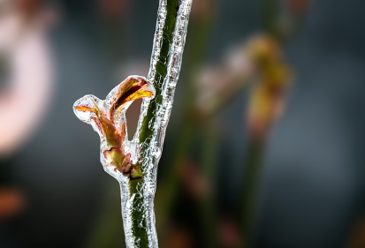 대구 서구 도시가스 고객센터 전화번호(대성에너지 전화번호)