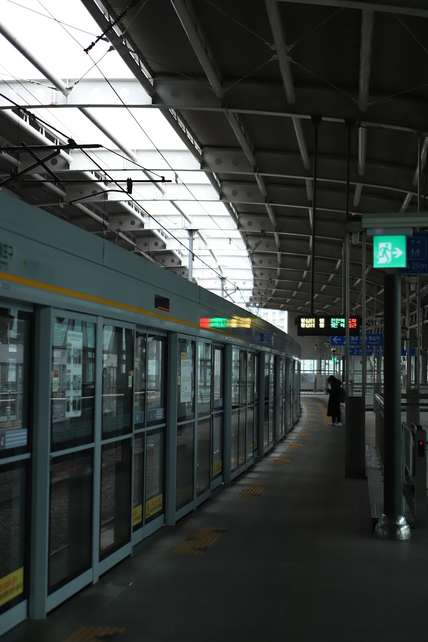 기후동행카드 신청방법 사용구간 구매방법 충전 따릉이 이용법 완벽정리