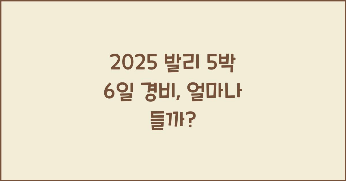 2025 발리 5박 6일 경비