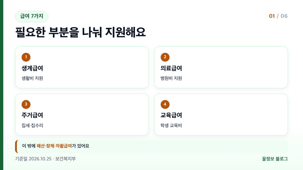 기초생활수급자 혜택 생계 의료 주거 교육 해산 장제 자활 급여 종류 카드