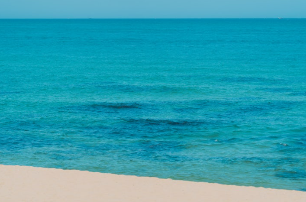 강릉 경포대, 조선의 풍류와 자연이 공존하는 힐링 여행지