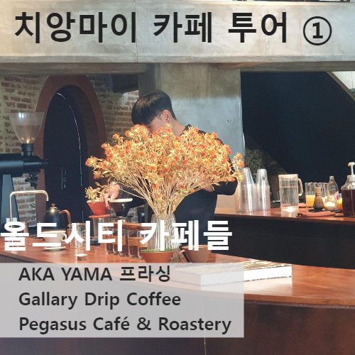 치앙마이 카페 투어 ① : 올드시티 카페 (AKA YAMA 프라싱, Gallery Drip Coffee, Pegasus Café & Roastery)_AKA YAMA 프라싱 내부