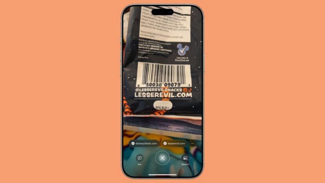 애플 아이폰 애플인텔리전스 시각 지능 비주얼 인텔리전스 기능 04 웹사이트로 링크 이동