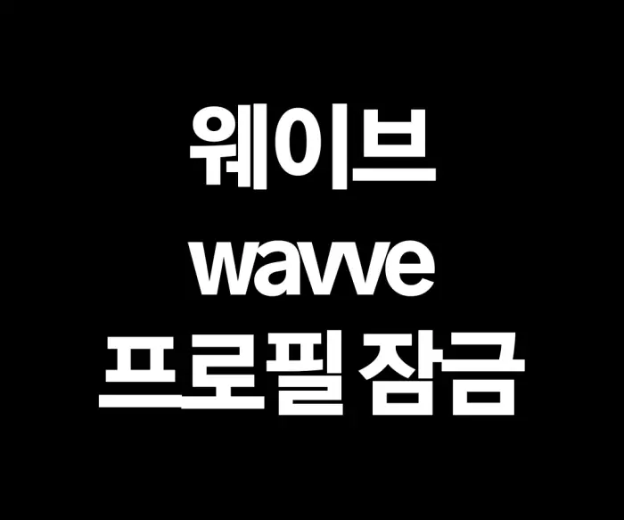 웨이브 프로필 잠금 비밀번호 설정에 대하여