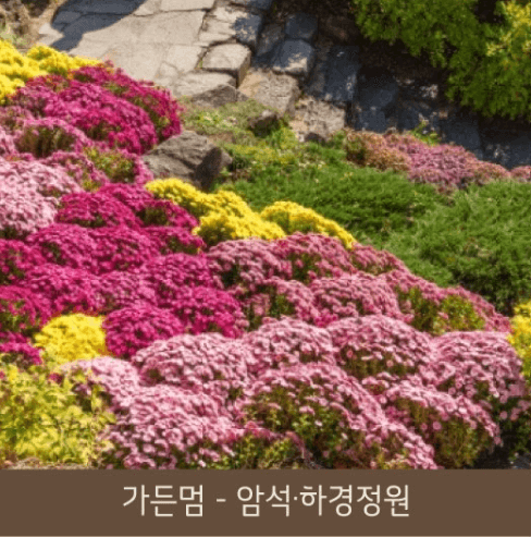 2025년 화담숲 예약