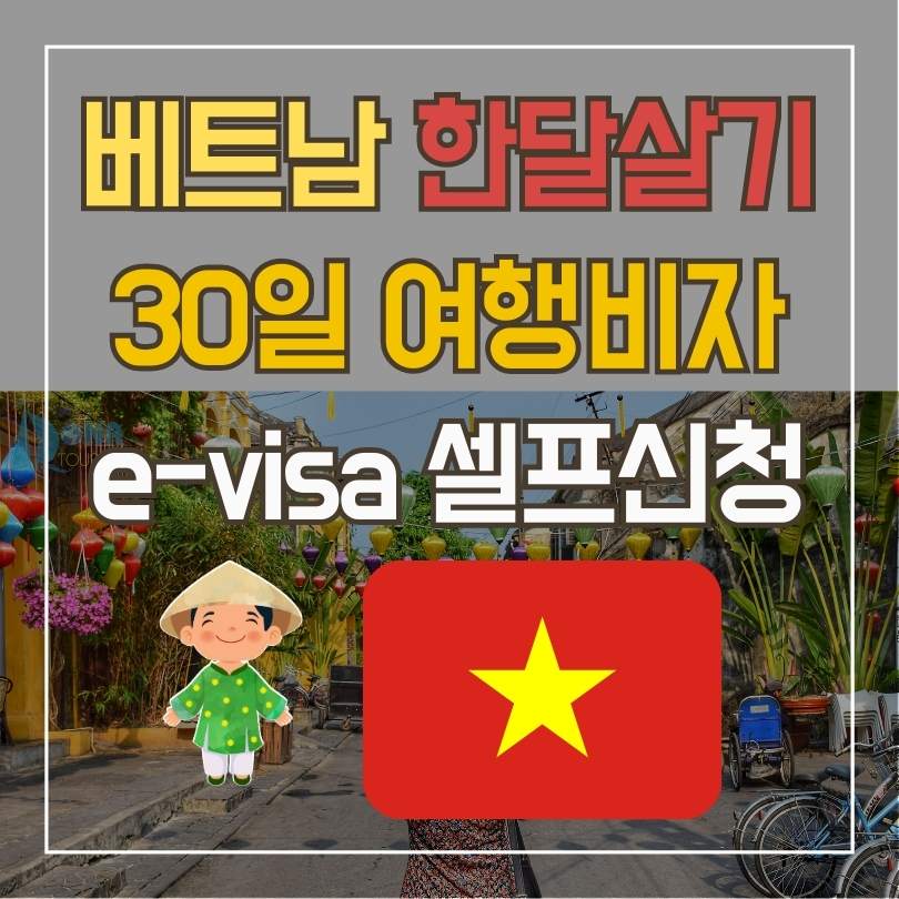 베트남 이비자 셀프신청