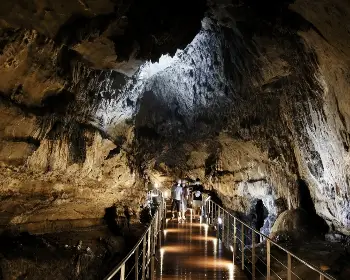 평창 더위사냥축제_14