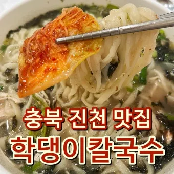 진천 맛집 베스트 10 추천으로 안내_20