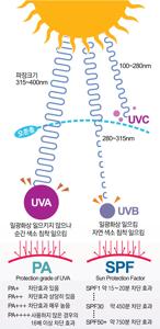 주름크림의 효과와 선택 가이드