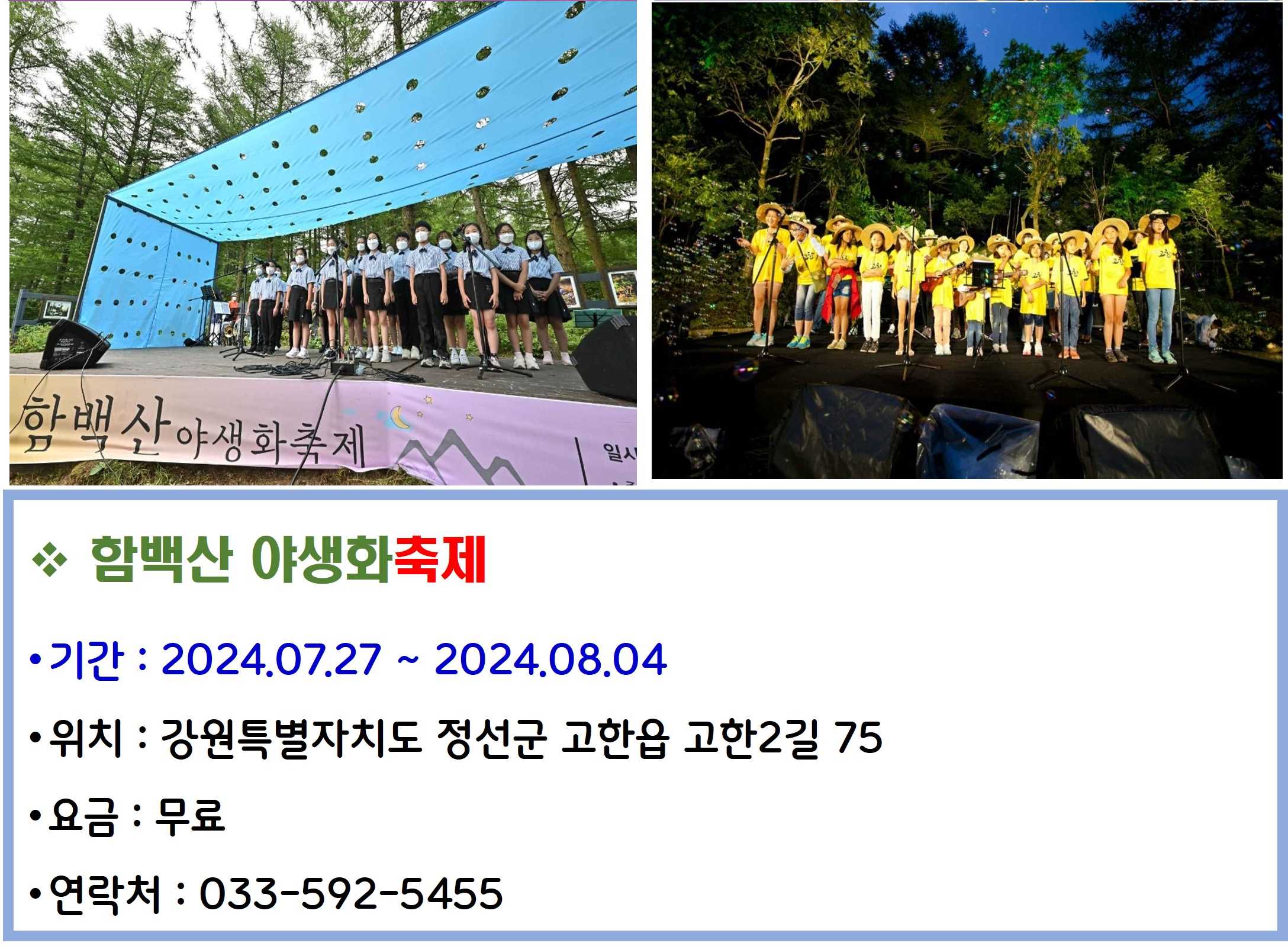 함백산 야생화축제