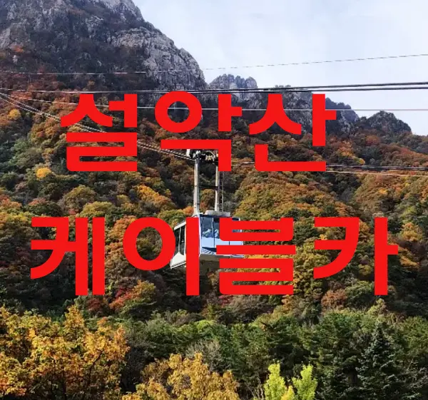 설악산 케이블카 운행시간