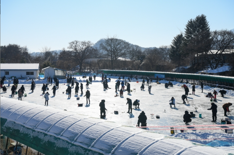 생생정보 동장군축제 포천