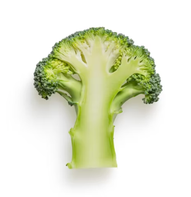 브로콜리 효능과 부작용 고르는법 칼로리