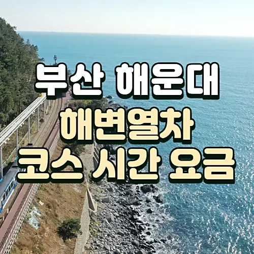부산-해운대-해변열차-운행시간-요금-코스-할인혜택