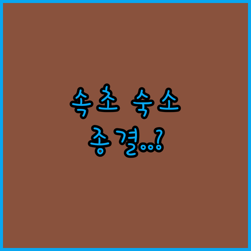 직접 비교한 속초 숙소 추천 리스트 ..